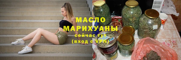 МДПВ Бородино