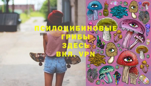 МДПВ Бородино