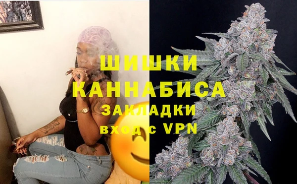 дмт Богородицк
