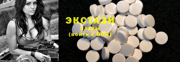 МДПВ Бородино