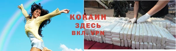 МДПВ Бородино
