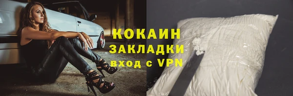 дмт Богородицк
