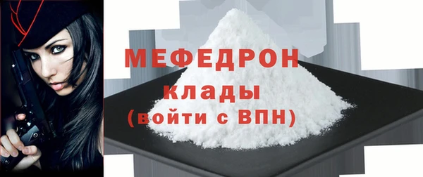МДПВ Бородино