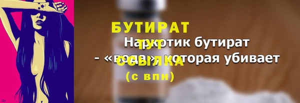 МДПВ Бородино