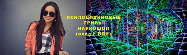дмт Богородицк