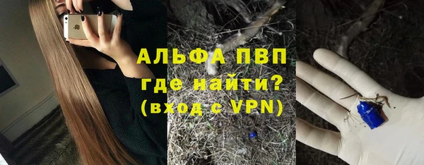 МДПВ Бородино