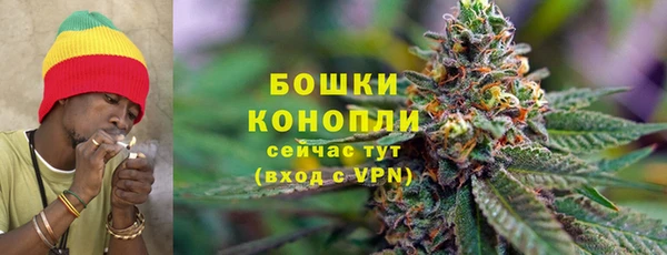 МДПВ Бородино